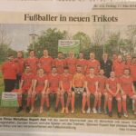 Zeitungsartikel